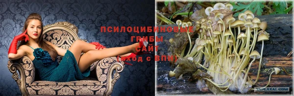 MESCALINE Вязьма
