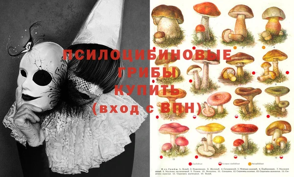 марки lsd Вяземский
