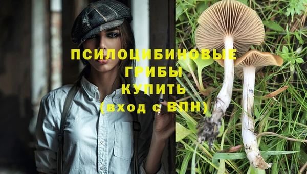 MESCALINE Вязьма