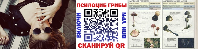 Галлюциногенные грибы Psilocybine cubensis  Купить закладки  Минусинск 